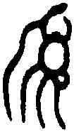 簋,虢王簋 ,書法字典
